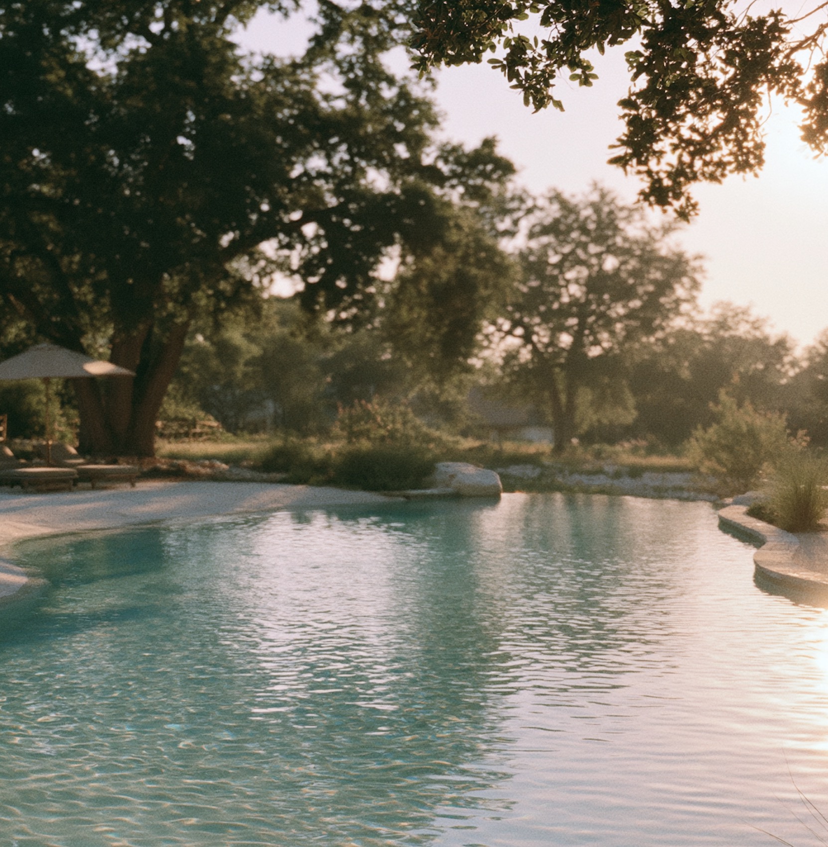 Clean Texas Hill Country pool surrounded by live oaks